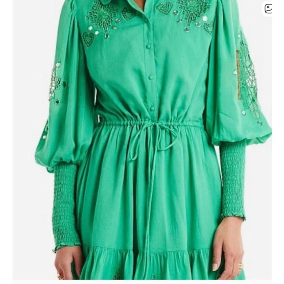 green emerald velvet dress Lulu Bottle Green Embellished Midi Dress – LabelSwish main image 1